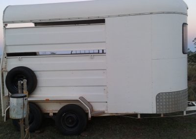 Horse Floats hire